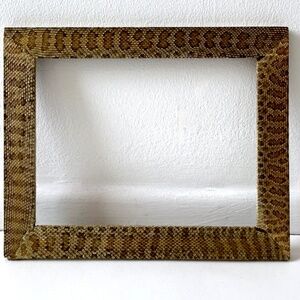 Rare Vintage REAL Western Diamondback Rattlesnake Frame 11 in. x 13 1/2 in.